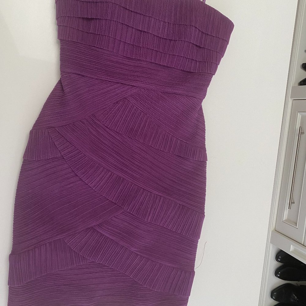 BCBG Tulle Layered Mini Dress 6